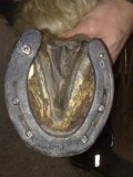 Breitschenkelhufeisen